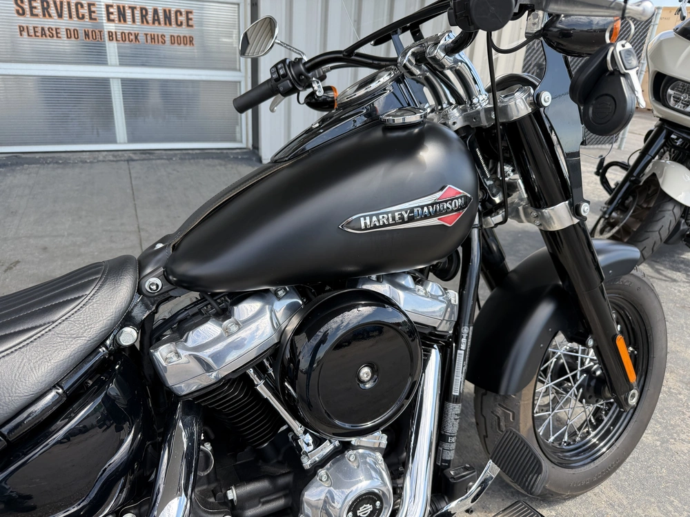 2018 Harley-davidson Flsl-slim alt
