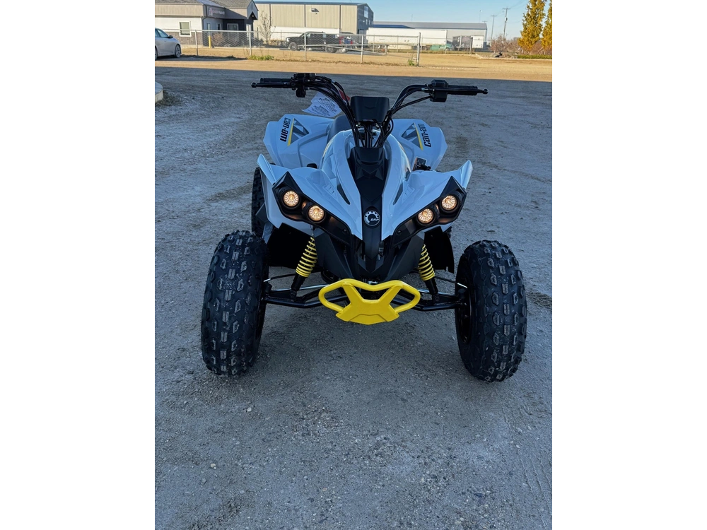 2027 Can-am Renegade 110 Efi alt