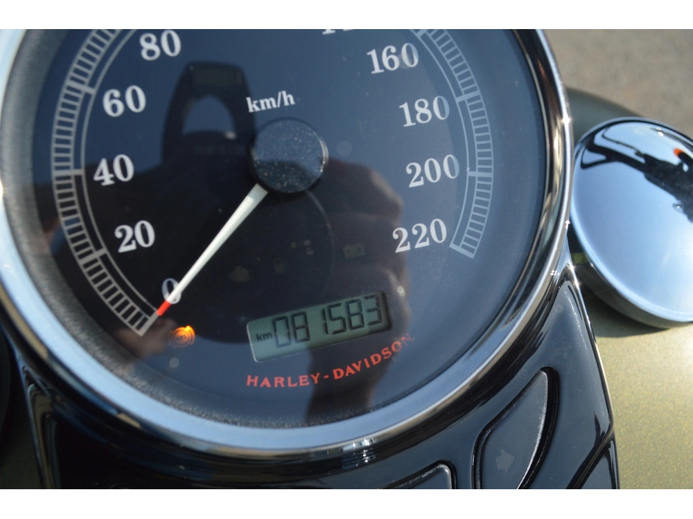 Harley-davidson Flss 2017 alt