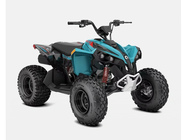 Can-am Renegade 110 Efi 2026 alt