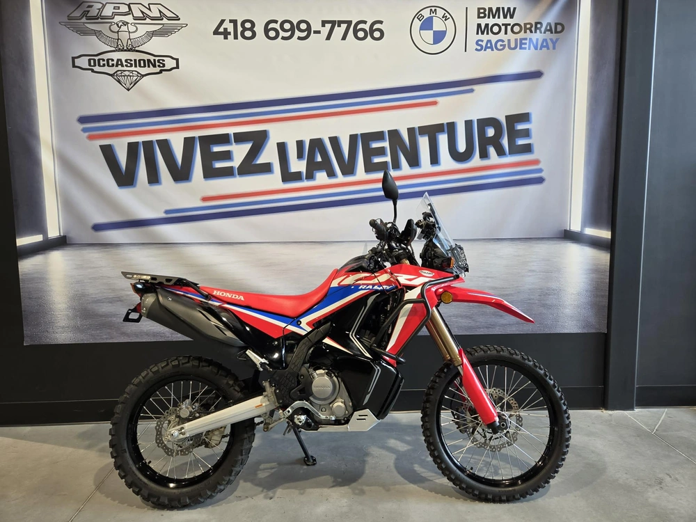 Honda Crf300 Rally 2022 alt