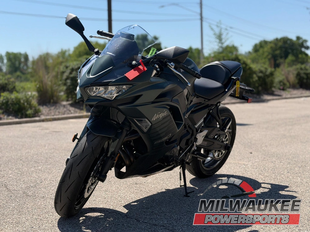 2025 Kawasaki Ninja 650 alt