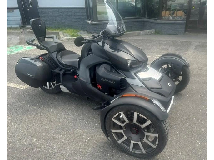 Can-am Ryker 900 Ace Rally 2019 alt
