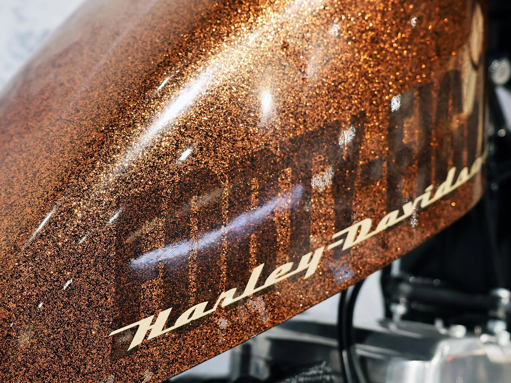 2014 Harley-davidson Forty-eight Xl1200x alt