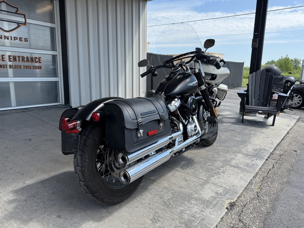 2018 Harley-davidson Flsl-slim alt