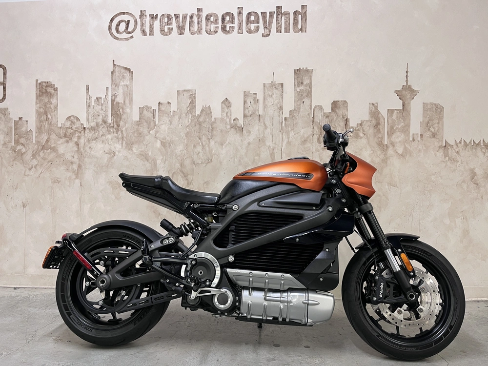 2020 Harley-davidson Electric Live Wire alt