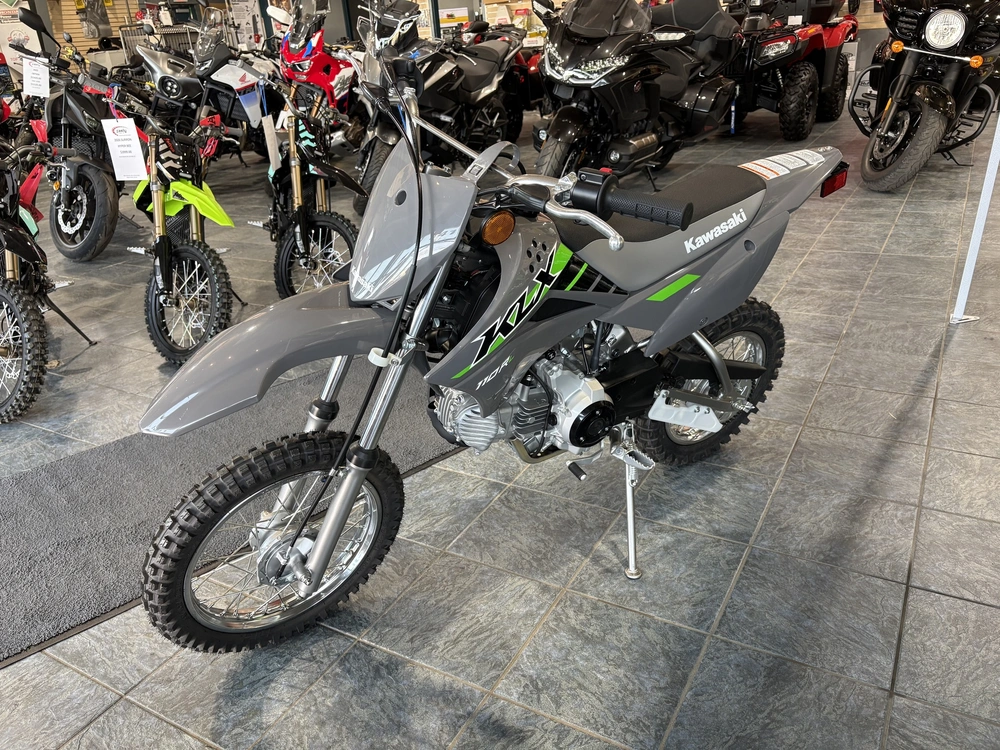 2025 Kawasaki Klx110dsfnn-gray alt
