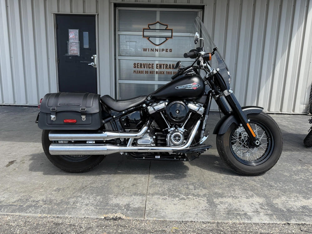 2018 Harley-davidson Flsl-slim alt