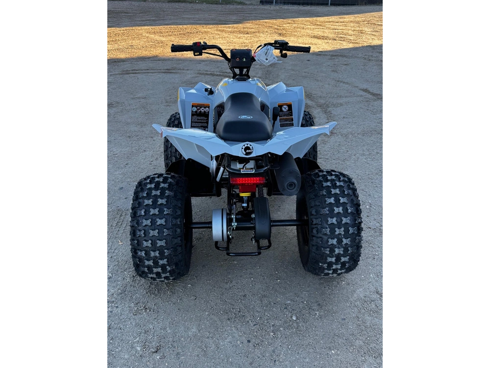 2027 Can-am Renegade 110 Efi alt