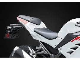 Kawasaki Ninja 300 2026 alt
