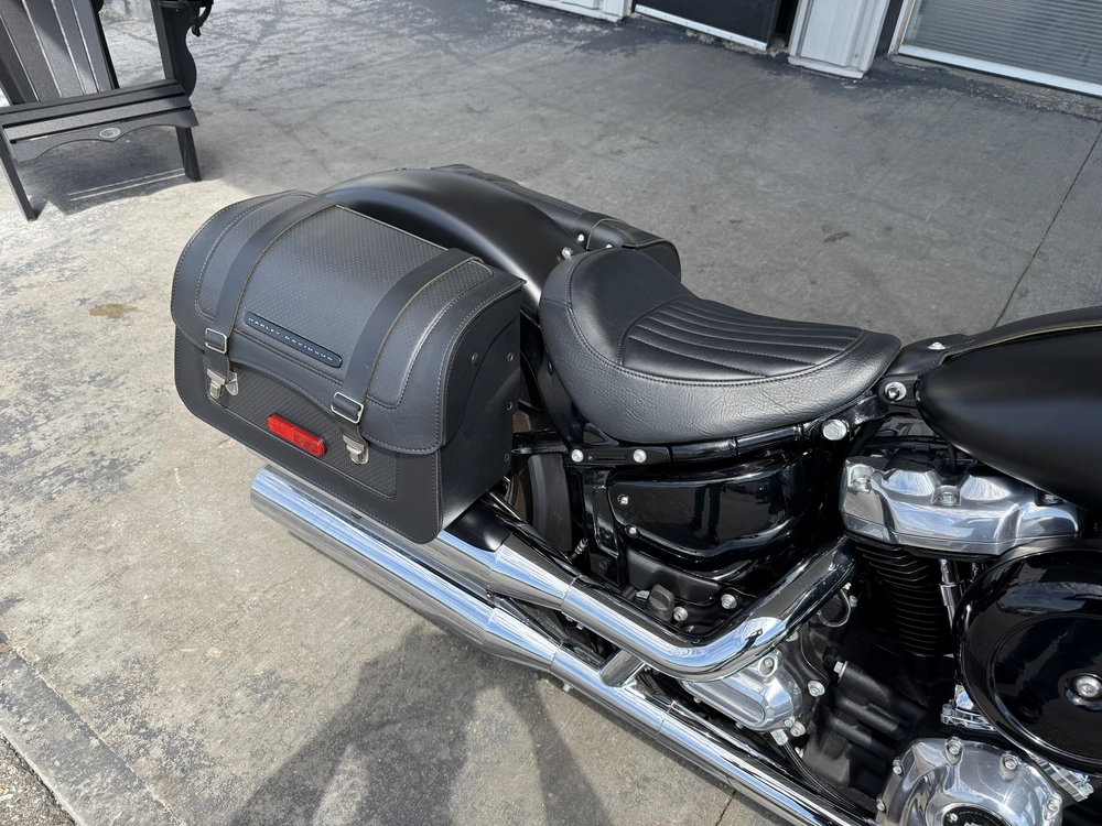 2018 Harley-davidson Flsl-slim alt