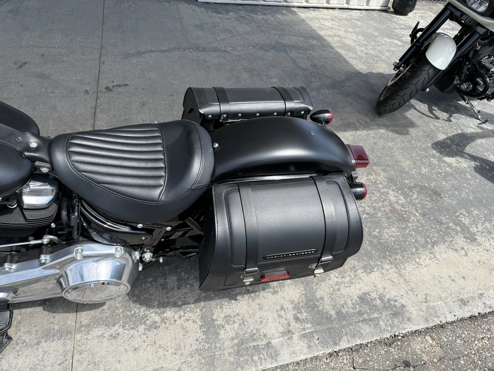 2018 Harley-davidson Flsl-slim alt