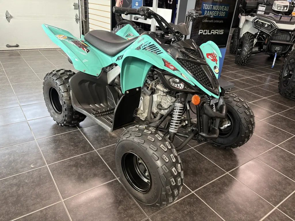2024 Yamaha RAPTOR 110
