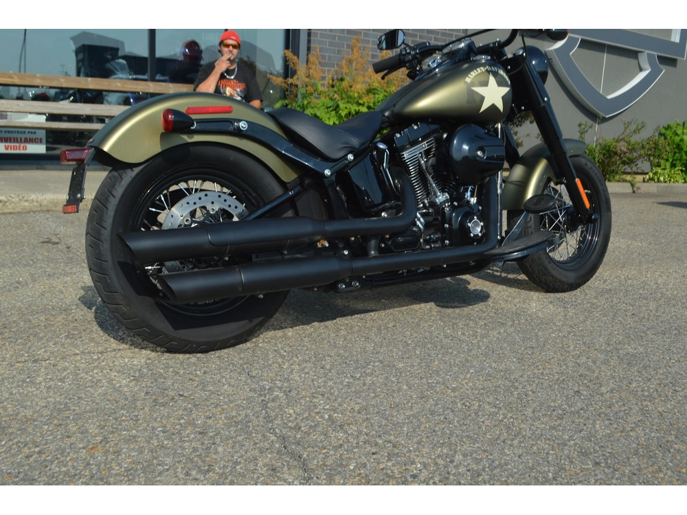 Harley-davidson Flss 2017 alt