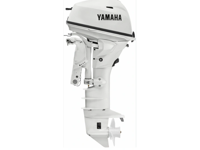 2025 Yamaha F25lwtc2 alt