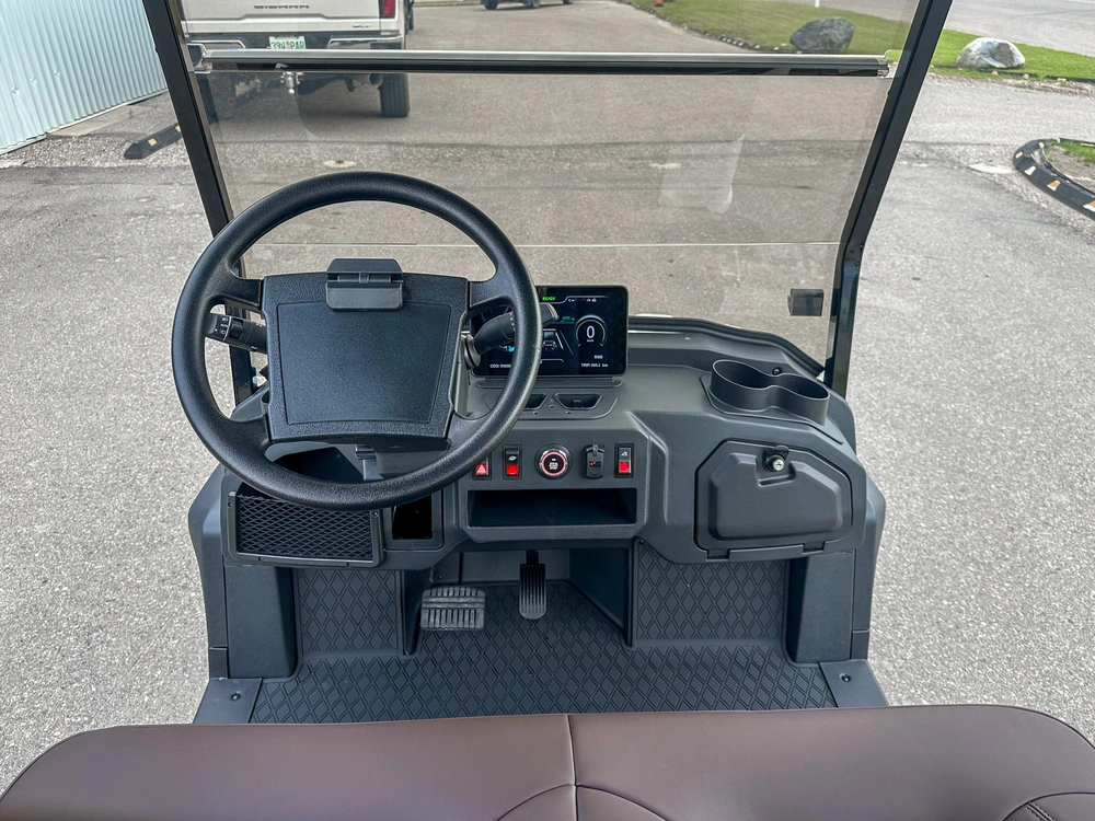 2026 Buzz G2 Standard alt