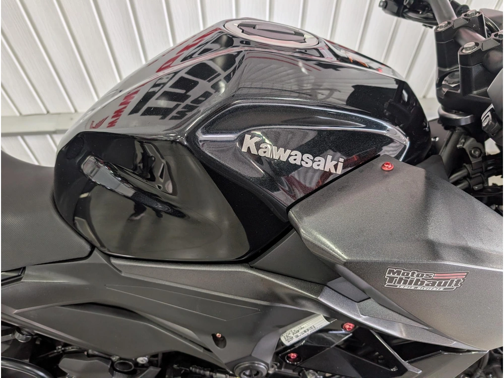 Kawasaki Z 400 2020 alt