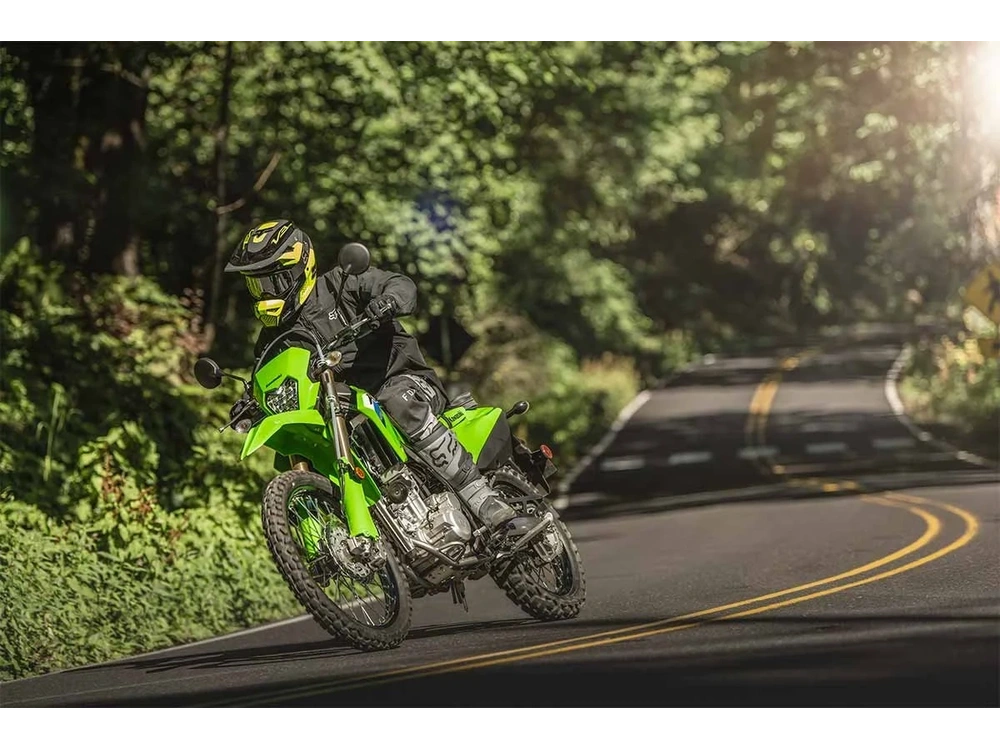2026 Kawasaki Klx300 Lime Green alt