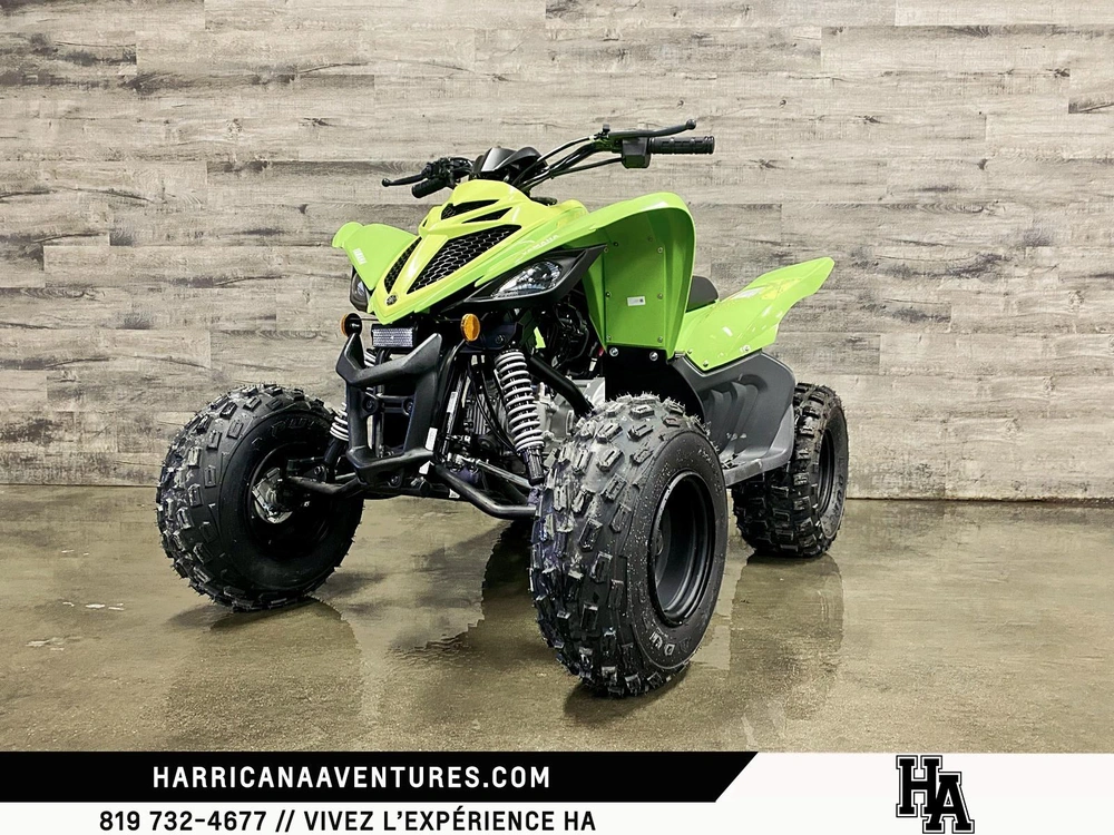 Yamaha Raptor 110 Vert 2026 alt