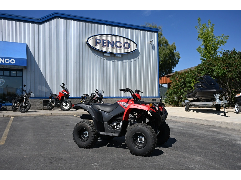 2025 Yamaha Grizzly 110 alt