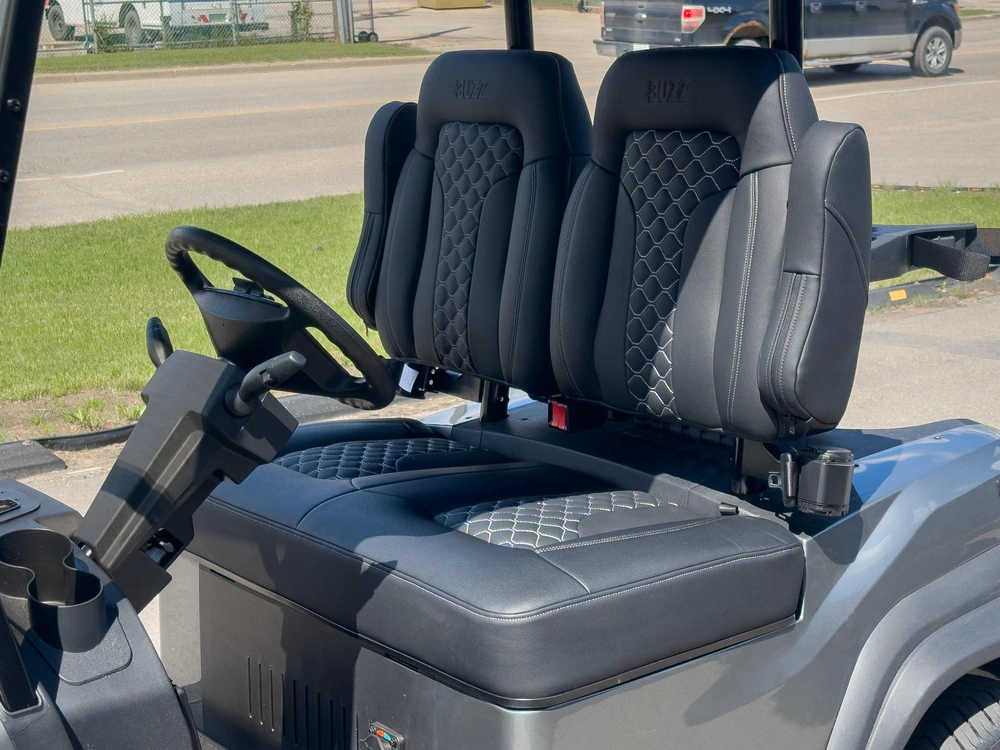2026 Buzz G2 Standard alt