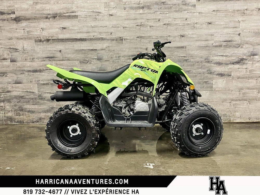 Yamaha Raptor 110 Vert 2026 alt