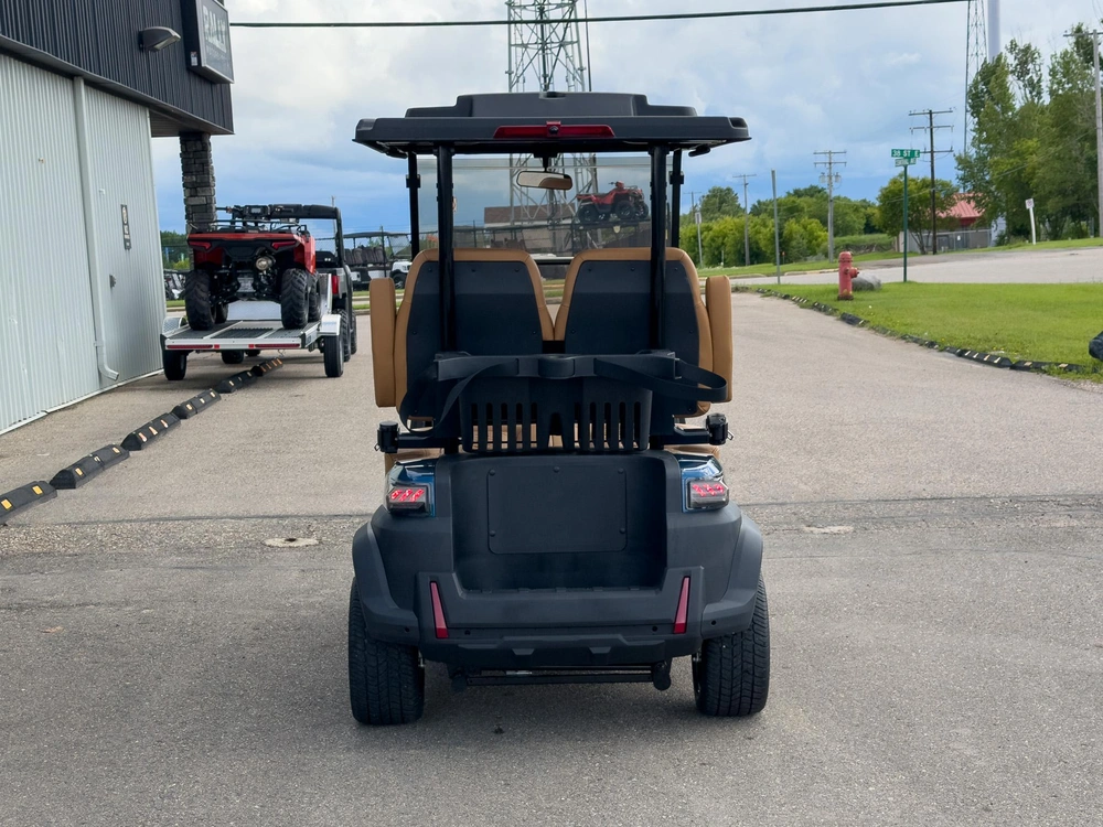 2026 Buzz G2 Standard alt