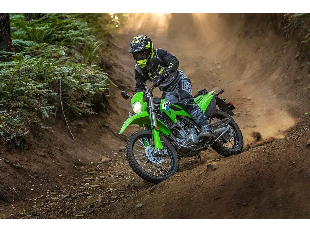 2026 Kawasaki Klx300 Lime Green alt