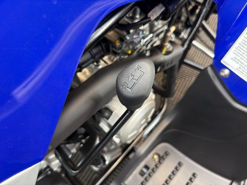 Yamaha Raptor 110 2026 alt
