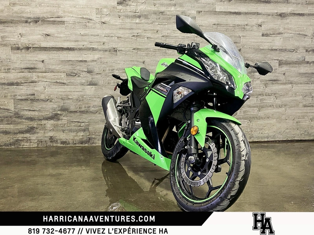 Kawasaki Ninja Ex 300 2013 alt