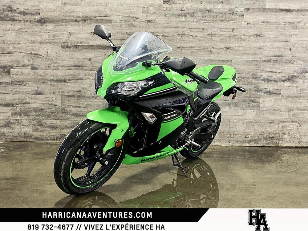 Kawasaki Ninja Ex 300 2013 alt