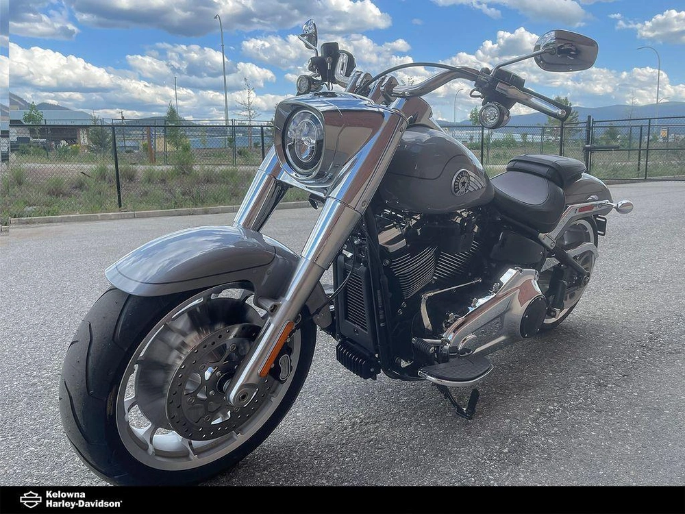 2025 Harley-davidson Flfb - Fat Boy™ alt