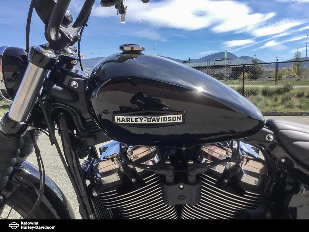 2026 Harley-davidson Fxbb - Street Bob® alt