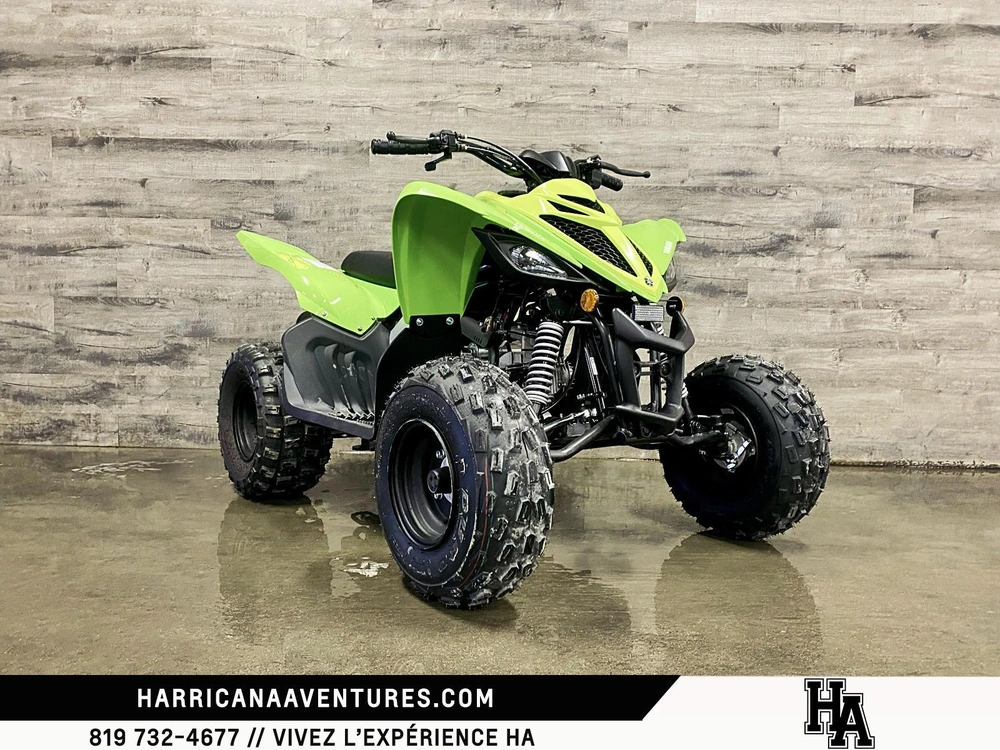 Yamaha Raptor 110 Vert 2026 alt