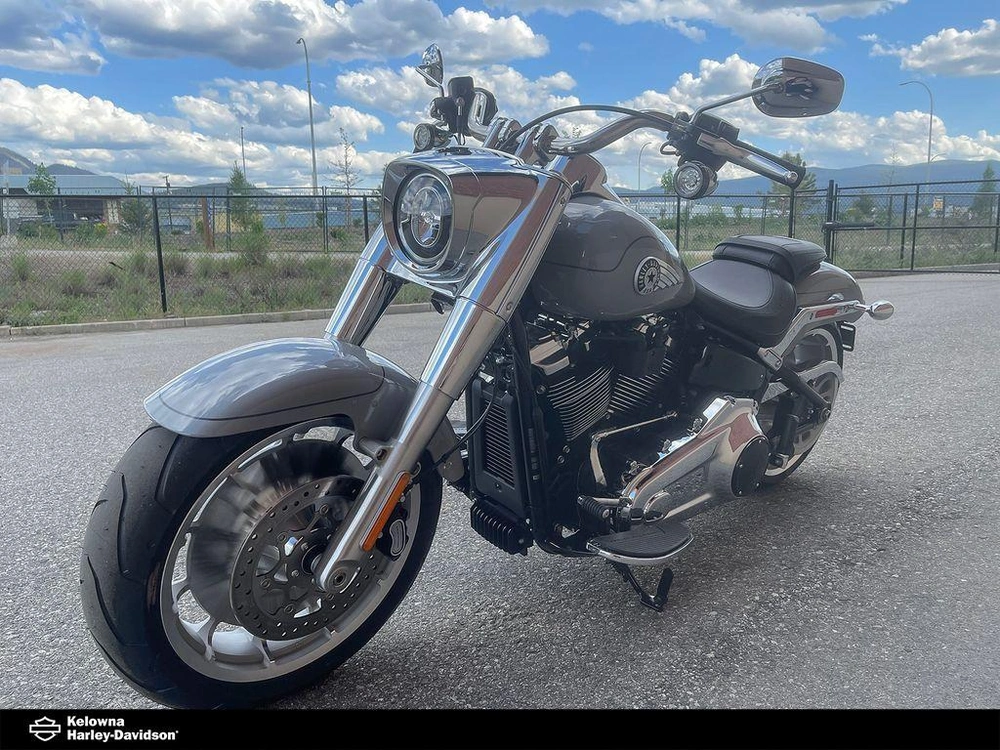 2025 Harley-davidson Flfb - Fat Boy® alt