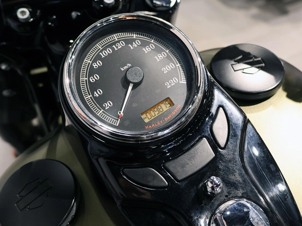 2017 Harley-davidson Softail Slim S Flss alt