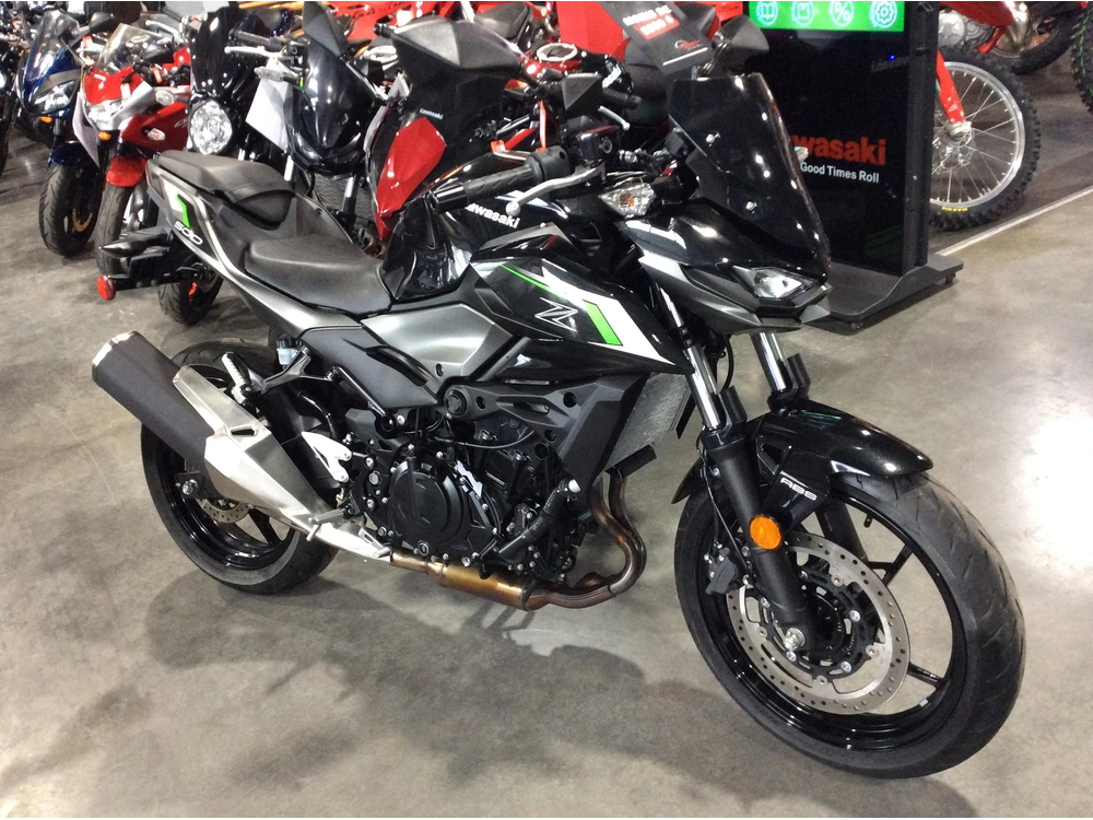 2024 Kawasaki Z500 Abs alt