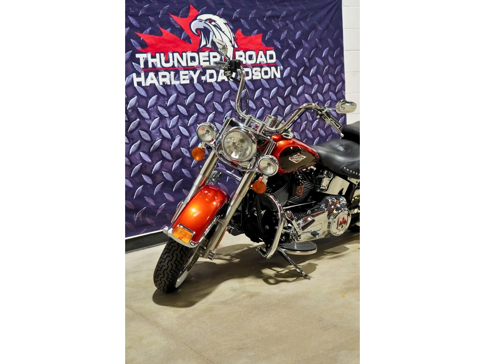 2013 Harley-davidson Flstc Heritage Softail alt