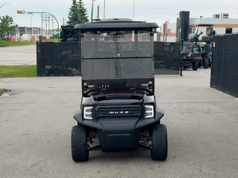 2026 Buzz G2 Standard alt
