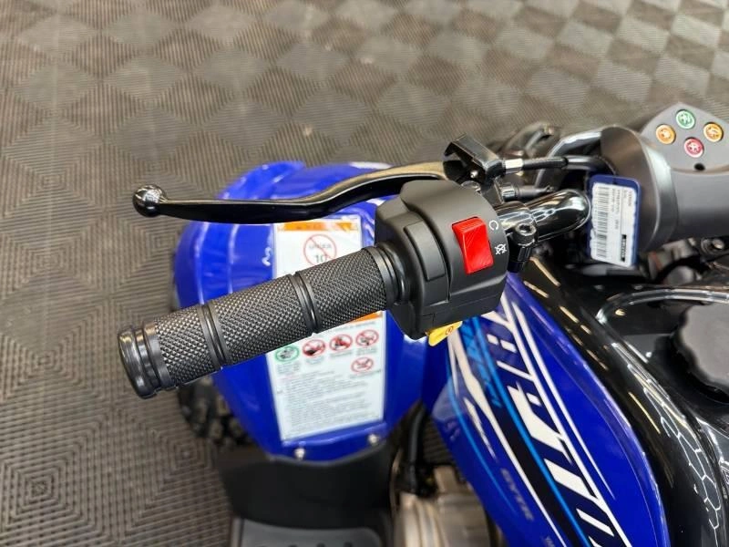 Yamaha Raptor 110 2026 alt