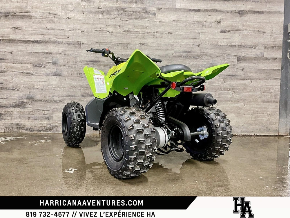 Yamaha Raptor 110 Vert 2026 alt