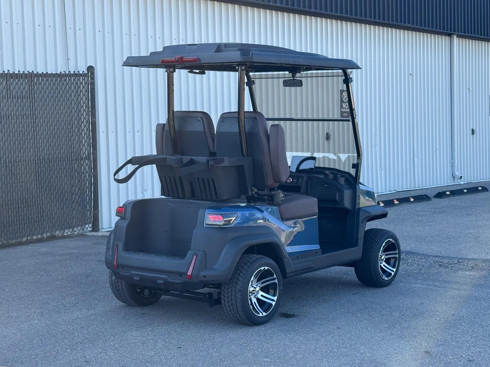2026 Buzz G2 Standard alt