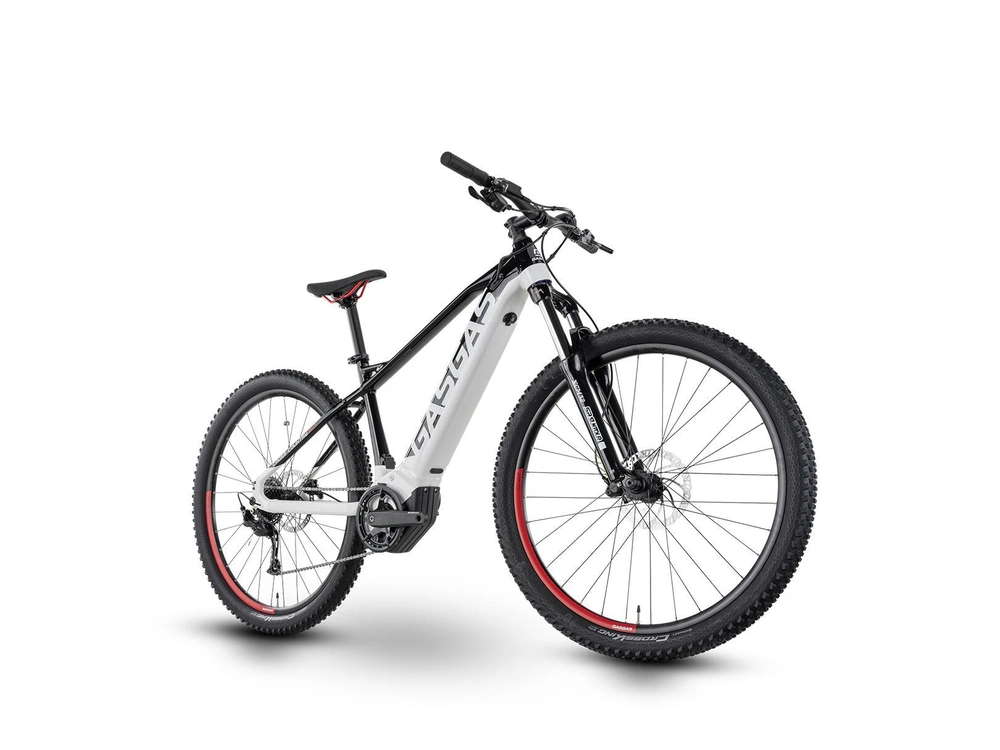 Gasgas G Cross Country 2.0 2024 alt