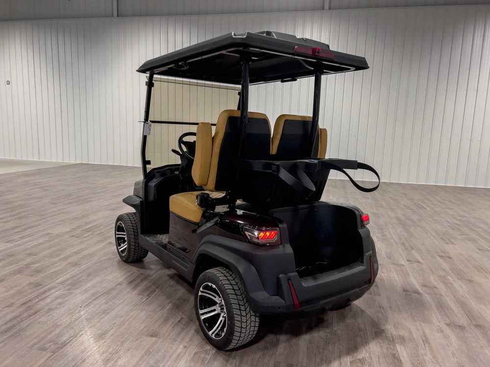 2026 Buzz G2 Standard alt