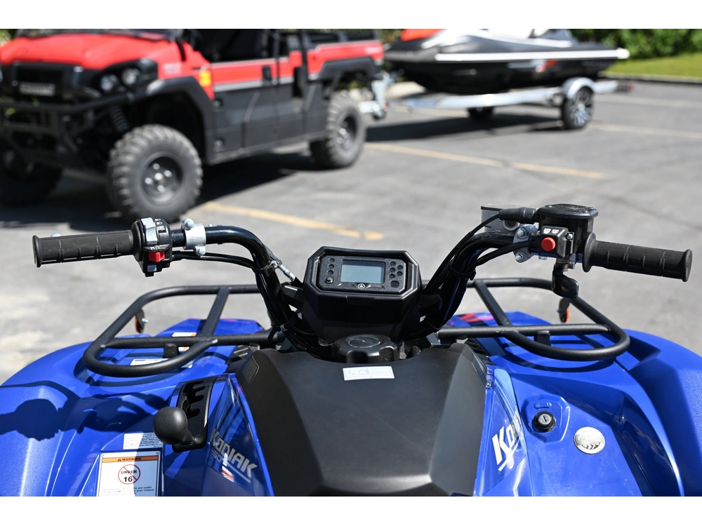 2026 Yamaha Kodiak 450 alt