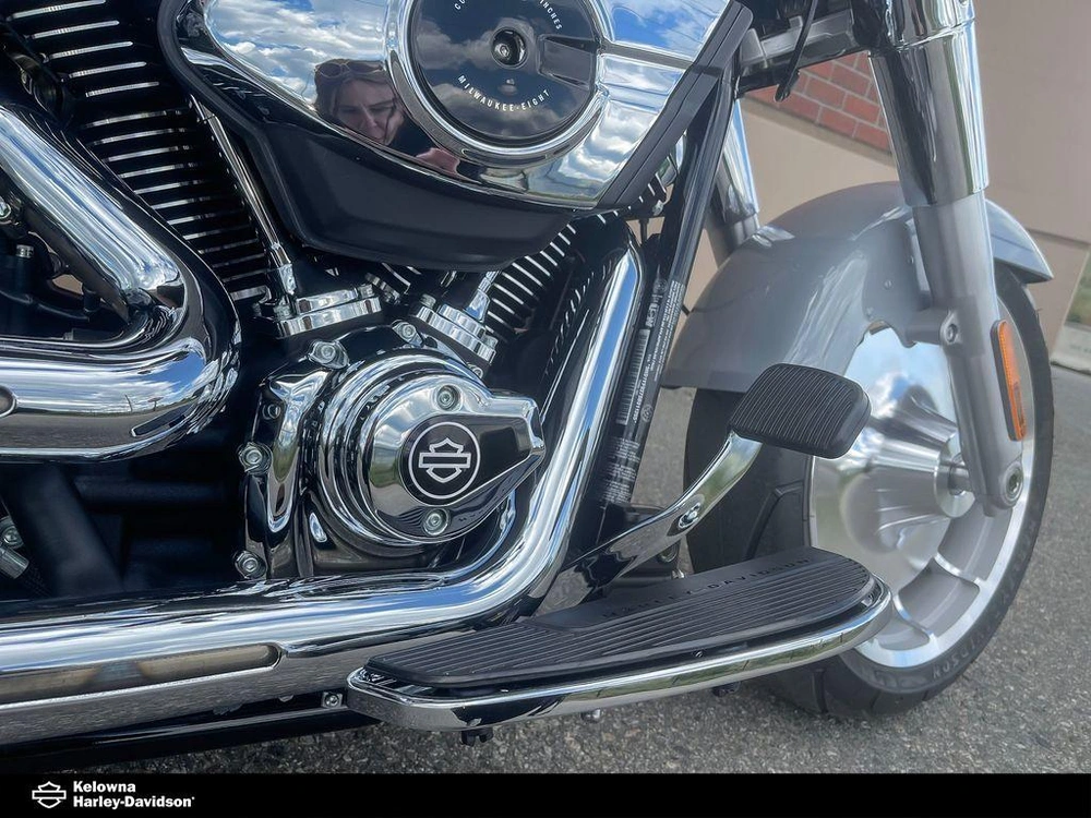 2025 Harley-davidson Flfb - Fat Boy® alt