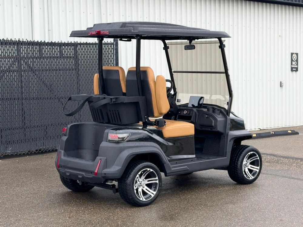 2026 Buzz G2 Standard alt
