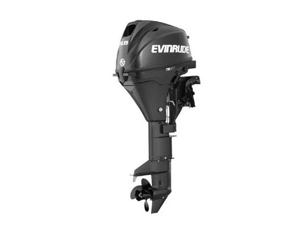 2021 Evinrude E10pgl4af alt