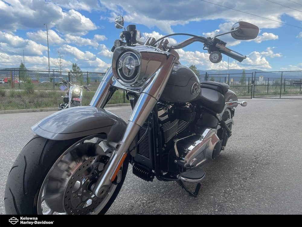 2025 Harley-davidson Flfb - Fat Boy™ alt
