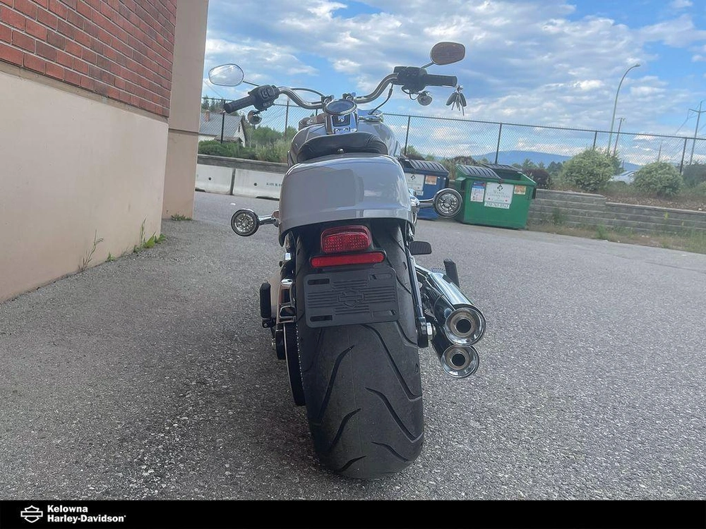 2025 Harley-davidson Flfb - Fat Boy® alt